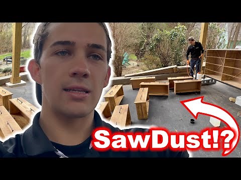 How I Treat Furniture Infested with Powder Post Beetles - Anobiid, Lyctids, and Bostrichids