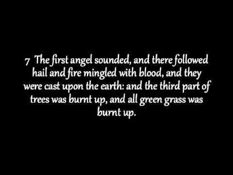 Revelation Chapter 8 KJV AV Read Along