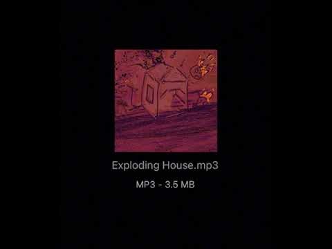 Exploding House - Geese Cover