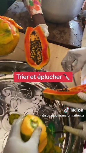Transformation des fruits et légumes au Togo