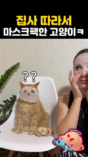 집사 따라서 마스크팩한 고양이ㅋ