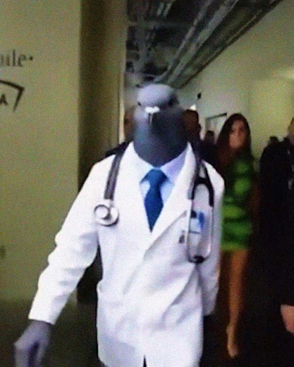 Pigeon doctor walk #pigeon #doctor #edit #meme #fy | pigeon