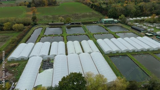 Top down aerial drone shot of fish farm aquaculture pens and rearing ponds with surrounding countryside near Calverton Nottingham UK