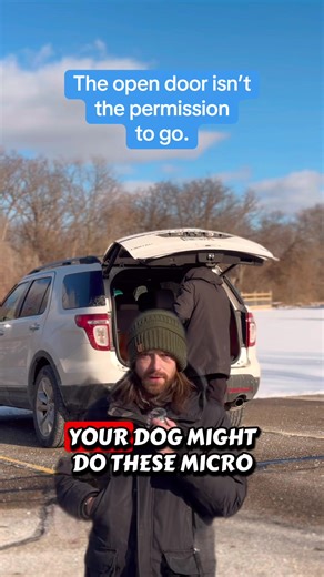 Reactive dogs will do other things we can manage and correct, micro reactions. We do this before we approach the macro reactivity. The dog sees the door open and the dog enters the car is the same thing as the dog sees a trigger and displays aggression for example. It’s on impulse, on sight, without thought. A macro reaction is when it’s big and embarrassing but it’s also too late to teach. So we use micro reactions and small mistakes to start when we work with reactive or impulsive dogs. 3 door