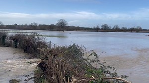 Parrett Works 10:30 this morning | Castle Reclamation