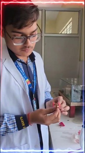 Pollen Grain Germination | Easy Explanation with Diagram & Experiment | Class 12 Biology