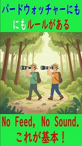 ⚠️ 【その撮影、本当にOK？】 ⚠️#バードウォッチングマナー #野鳥観察 #愛鳥家 #動物愛護 #鳥のいる暮らし #NoFeedNoSound #自然のルール #撮影マナー