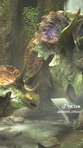 Follow if you want more dinosaurs in your feed 🦖 T. rex was probably warm blooded. The old image of a slow, cold blooded giant is looking increasingly outdated. A 2026 study measured chemical signals preserved in three Tyrannosaurus rex teeth from the Hell Creek Formation. The estimated body temperature was about 36.3 ± 2.5°C (97.3 ± 4.5°F). That is far warmer than you would expect from a giant reptile simply matching the temperature of its surroundings. The T. rex values were also higher than