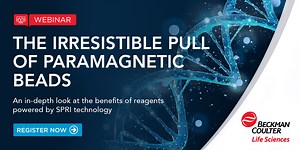 THE IRRESISTIBLE PULL OF PARAMAGNETIC BEADS