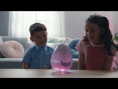 Hatchimals Alive Mystery Hatch - How To