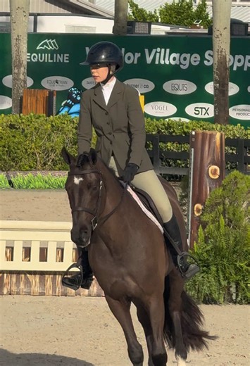 Effective Horse Training Techniques with Pacman