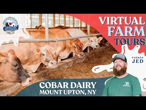 CoBar Dairy Virtual Farm Tour