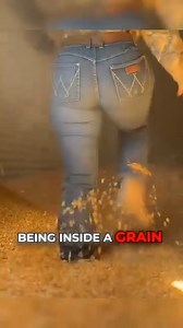 Grain bins may look harmless, but they can trap and suffocate a person in seconds. Here's how rescue teams save lives in these dangerous situations! 🚨 #GrainBin #FarmSafety #Agriculture #FarmLife #StaySafe | Facts Wiki