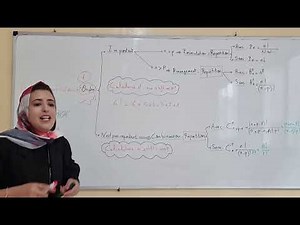 Les probabilités: Le dénombrement ou l'analyse combinatoire (cours, exercices et extrait d'examens)