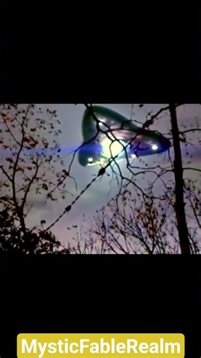 Not all trees belong to this world.