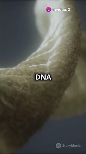 The 4 Essential Macromolecules for Life!! #biofacts #facts #science #didyouknowscience #didyouknow