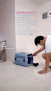 13K views · 261 reactions | A 2 months old Dwarf shih tzu at 200 grams only! 勞 #dwarfism #Dwarf #shihtzu #shihtzusofinstagram #shihtzugram #shihtzulover #minidog #tinydog #doglover #doggrooming #dog #dogslife #petlovers #dogsofinsta #cuteanimals #cutenessoverload #puppiesofinstagram #cute #adorable #shihtzuph #teacupdog #smallest #reelsviral #newbornpuppy #Mindblowing | Bella Puppies | Facebook