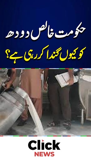 #Clicknews #MilkScandal #PureMilkTruth #DairyFarmers #MilkSellers #GovernmentPropaganda #SocialMediaPropaganda #Exposed #PoliticalAgenda | Click News
