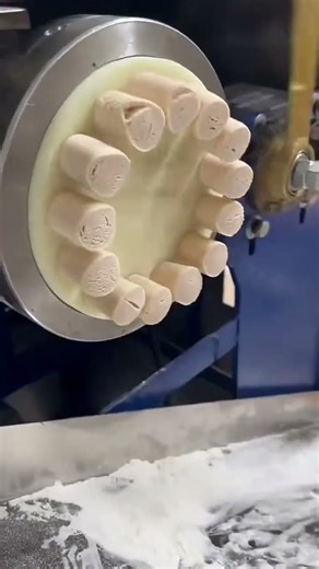 Rotary molding machine forms flour dough into small uniform pieces before cutting stage #popular