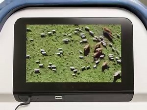 We love our world, and that’s why the award-winning documentary, The Biggest Little Farm, is on Delta Studio this month. Follow along their journey and see the story of two farmers creating harmony with nature. | Delta Air Lines