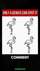 Can you find the odd flamingo? 🦩 #brainteaser | Mind Measure