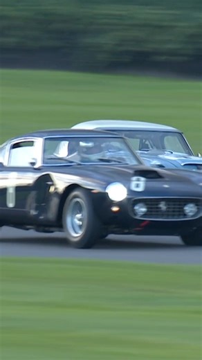 A Ferrari 250 GT SWB leads the charge, but there’s no time to breathe as an Aston Martin DB4 GT looms large and an Austin-Healey 3000 dives into the fight. Three very different machines, all chasing the same piece of tarmac in the Stirling Moss Memorial Trophy. #GoodwoodRevival #AstonMartin #Ferrari #AustinHealey | The Goodwood Revival