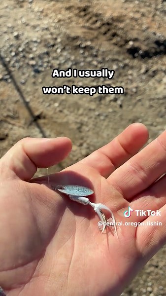 Exploring new waters, chasing the perfect catch! Sometimes, the best fishing spots are the ones you’ve never tried before. Adventure, patience, and a little bit of luck—let’s see what bites! 🎣🌊 #FishingAdventure #NewFishingSpots #GoneFishing #CatchAndRelease #FishingLife