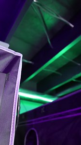 2.1K views · 76 reactions | Introducing the first bar light...