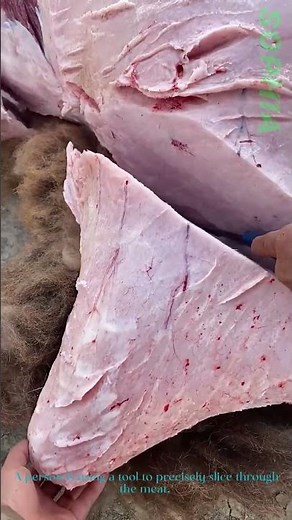 Meat Cutting: Techniques, Purposes, and the Art of Butchery