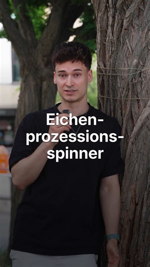 Eichenprozessionsspinner in Marzahn: Nützlinge fördern