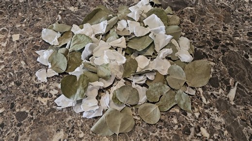 Watch freeze dried flower petals on Amazon Live