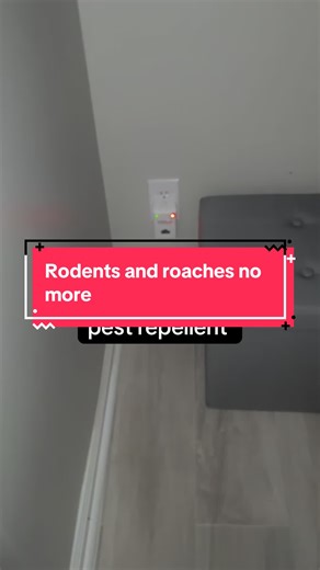 Riddex Plus is a no toxin option for pest and rodent repelling. #riddexplus #tiktokshopblackfriday #tiktokshopcybermonday #tiktokshopcreatorpicks #creatorpicksambassador