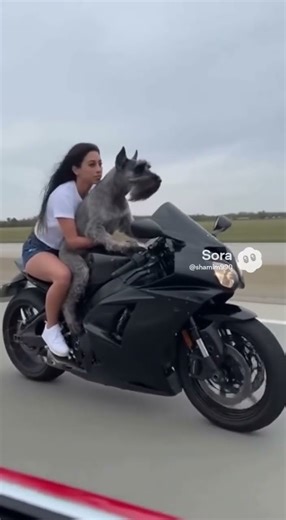 heavy bike roder 🤣 #funny