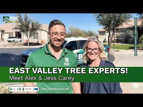 30 Years of Quality Tree Care in Arizona | About B&C Tree Service