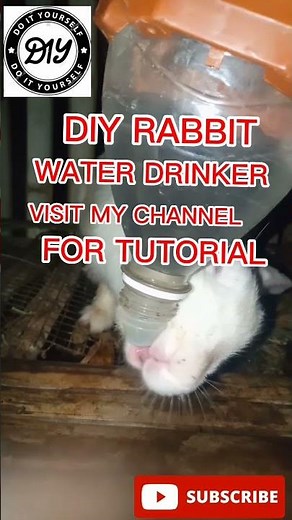 Diy rabbit water system
