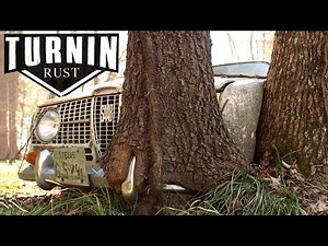 FULL RESCUE: Abandoned SAAB Cut From 40-Year-Old Trees | Will It Run Decades Later? | Turnin Rust