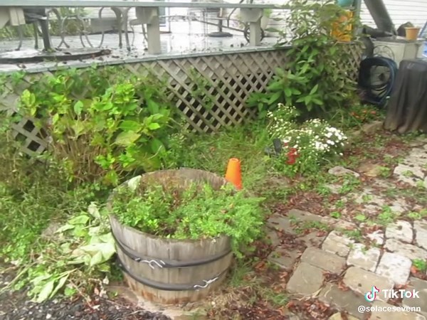 #digitalcamera #canoncamera #peaceful #calm #nostalgia