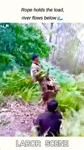 Zip line crosses river, cargo takes a clever 🪢