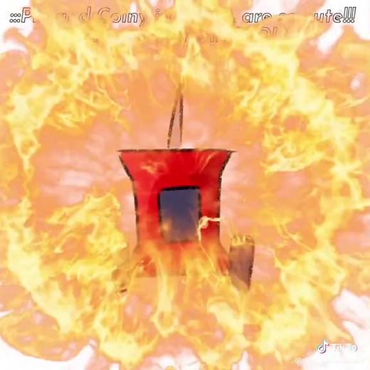 Exploring Battle for Dream Island Series Updates