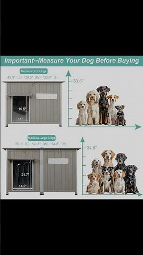 Large Outdoor Dog House Waterproof Showcase