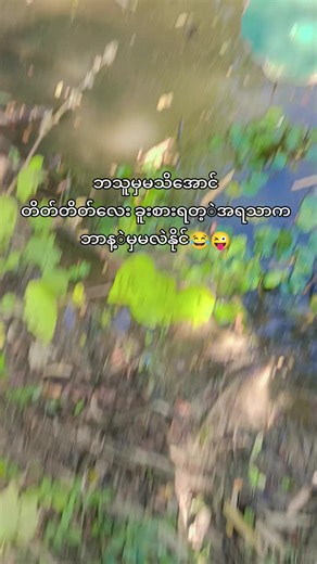 original sound - War War Hlaing❤ကမာစိန်သူ❤ ပါဝင်သည့် War War Hlaing❤ကမာစိန်သူ❤ (@war.war.hlaing689) ၏ ဗီဒီယိုများ