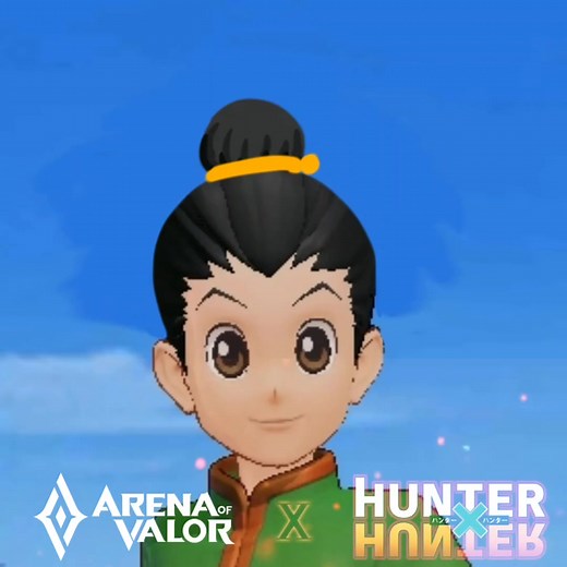 Classic Project X Hunter X Hunter Collaboration