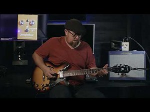 JangleBox Byrds Limited Edition | Mantova's Two Street Music | Buy Janglebox Now