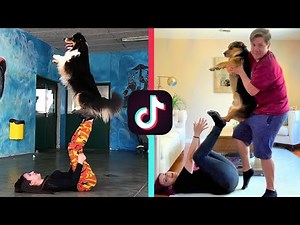 RECREATING DOG TIK TOK VIDEOS