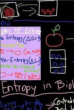 Entropy Explained #chemistry #science