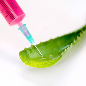 10M views · 4K reactions | Every girl should know these survival hacks to stay healthy and beautiful even in the wild.  | Bright Side | Facebook