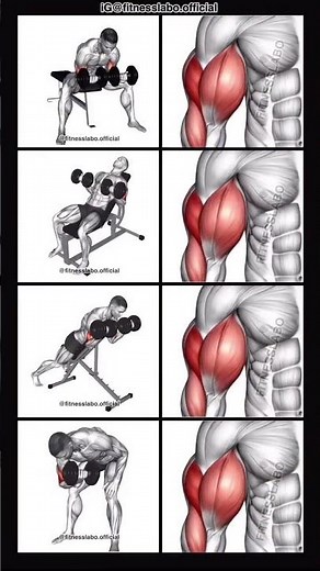 4 Dumbbell Curl Variations You’ve Never Tried