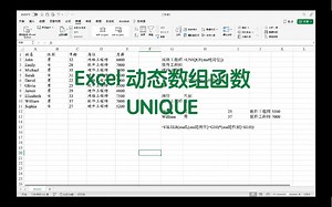 Excel动态数组函数UNIQUE