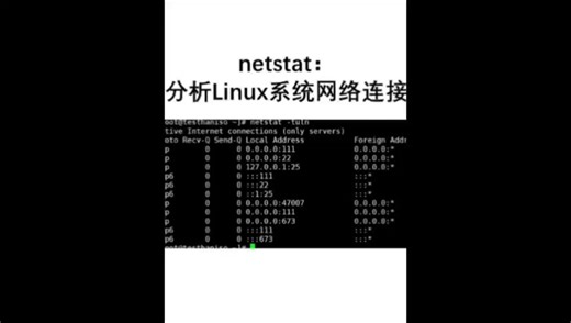 netstat 是一个经典的网络统计工具，可以显示网络连接、路由表、接口统计信息等。