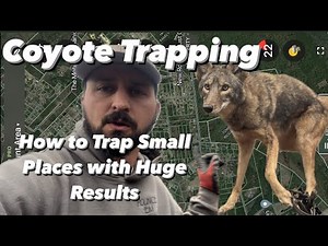 Coyote Trapping - How to Trap Small Properties with Huge Results